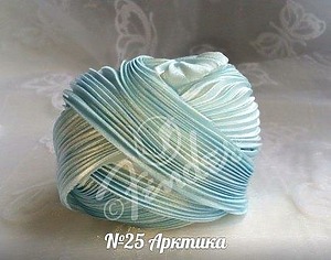 №25 "Арктика", 10см